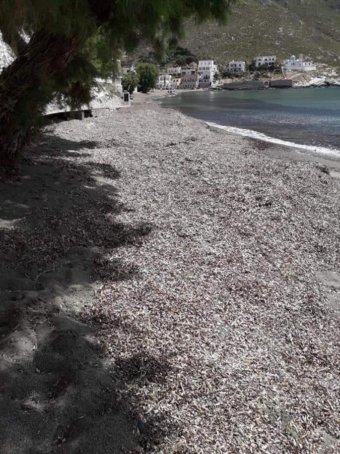 Kalymnos Beach House Panormos  Luaran gambar